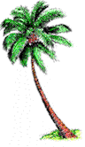 palma.I.gif(15758 bytes)